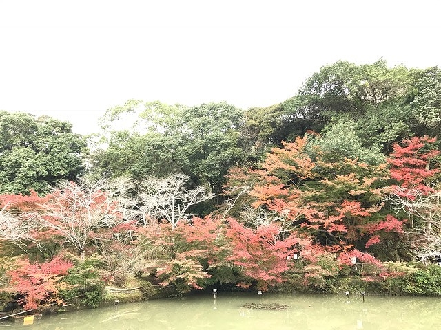 御船山楽園