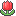 tulip tulip